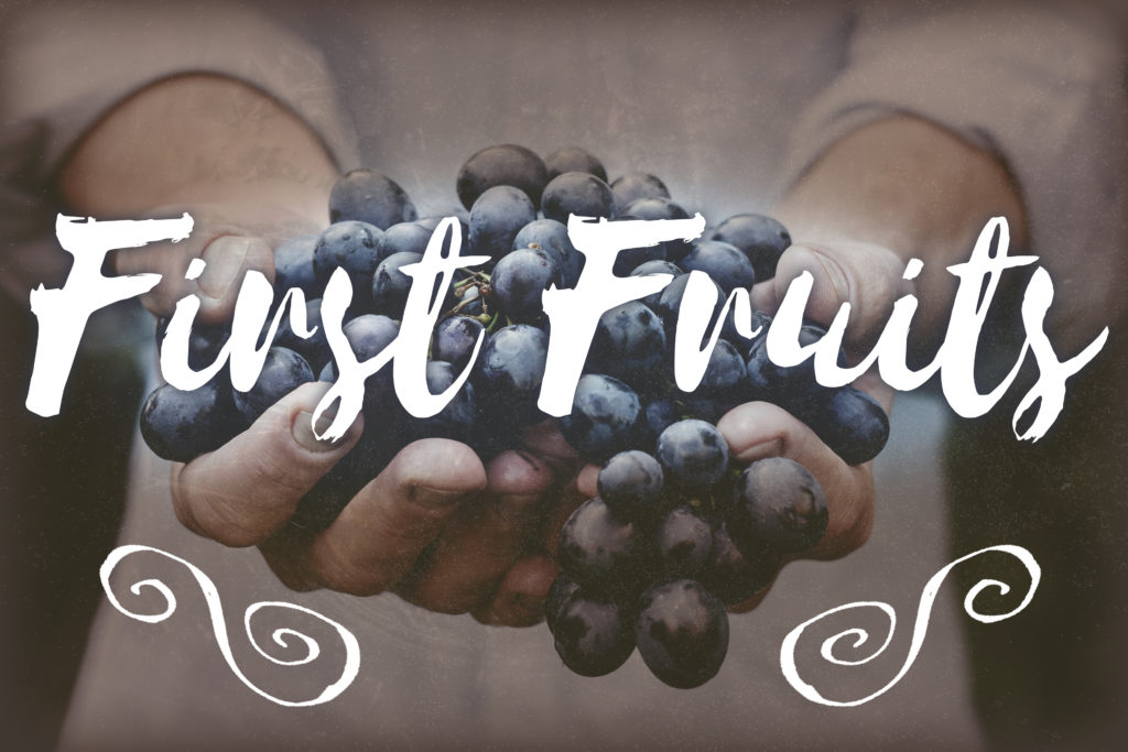 First Fruits Offering More Church